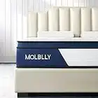 Molblly Queen Mattress, 10 Inch Hybrid Mattress with Gel Memory Foam,Motion Isolation Individually Wrapped Pocket Coils Mattress,Pressure Relief,Back Pain Relief& Cooling Queen Size Bed Mattress