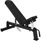 Gorilla Sports Banc de Musculation Professionnel Banc Multi-incliné Noir en Acier avec Charge maximale de 250 kg