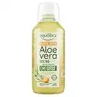 Equilibra Integratori Alimentari, Buon Aloe Vera 95%, Integratore Aloe Vera da Bere Puro o Diluito, Aloin Free, Detox, Pura Polpa, Senza Aggiunta di Acqua, con Succo di Pesca, Senza Glutine, 500 ml