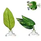 2 pièces Feuille de Repos de Poisson Betta,Feuille de Frai Betta, Accessoires D'aquarium de Lit de Feuilles Artificielles Ornementales Simples et Doubles Couches,Feuilles de Simulation avec Ventouse