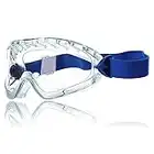 Dräger X-pect 8510 Lunettes de sécurité | Protection oculaire antibuée et anti-rayures pour laboratoires, travaux chimiques, peinture