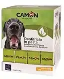 Camon - Dentifricio in Pasta - G867 1 Tubetto 70,00 gr