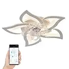 REYDELUZ Ceiling Fan with Lights,27In 50W,Remote Control 3 Color temperatures,6 Gear Wind Speed Fan Light,Ceiling Lights with Fan for Bedroom,Children’s Room and Dining Room