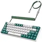 ZIYOU LANG RK-T8 Wired 65% Mechanical Gaming Keyboard with RGB LED Backlit Anti-ghosting TKL Mini 68 Key Custom Coiled C to A Cable Tactile Blue Switch for PS4 PS5 Xbox PC Mac Gamer(Green/White)