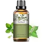 PHATOIL Patchouliöl Bio 30ml, Patchouli Ätherisches Öl 100% Reine Naturrein, Ätherische Öle für Diffuser Aromatherapie, Duftöl Patchouli für Luftbefeuchter, Kerzen, Duftlampe