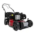 Sprint 2691794 420SP Self-propelled Petrol Lawn Mower, 16"/41 cm, Briggs & Stratton 300E Series Engine 125cc , Red