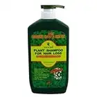 Deity Shampoo Plant Bonus Professional Size 28.1 Ounce (831ml) (Pack of 2)