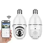 Security Camera (2 Pieces)