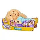 Little Live Pets Charlie Cozy Dozys Puppy interactive cuddly dog toy with sounds, bedtime cuddles, pacifier blanket included.