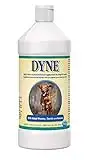 PetAg Dyne High Calorie/Weight Gainer Liquid for Dogs, 16 oz