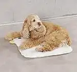 PURROOM Alfombrilla de enfriamiento para mascotas, almohadilla de enfriamiento para perros pequeños o medianos y gatos de todas las razas, 7x7 pulgadas, bonito diseño de pollo y pato.