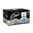 Cesar 7+ Wet Dog Food Jelly for Senior, 8 x 150g