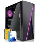 SYSTEMTREFF® Basic Gaming PC AMD Ryzen 5 PRO 4650G 6x4.3GHz | AMD RX Vega 7 4K HDMI DX12 | 256GB SSD | 8GB DDR4 RAM | WLAN Desktop Computer Rechner für Gamer, Zocker