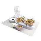 Cat Bowls, NATRUTH Gravity Water and Double Food Triple Bowls with a Bowl Mat Spoon, Wet Dry Feeding Set, Pet food for Cats Small Dogs (Grey)