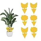 Fruit Fly Trap, 6 Pack Sticky Fruit Fly Killer and Fungus Gnat Killer for Indoor Plants Fly Trap Gnat Trap Yellow Sticky Traps Fungus Gnats Fly Traps Insect Killer for Houseplant Indoor Outdoor Plants