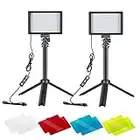 NEEWER 2 Packs Portable Photography Lighting Kit Dimmable 5600K USB 66 LED Video Light with Mini Adjustable Tripod Stand and Color Filters for Table Top/Low Angle Photo Video Studio Shooting