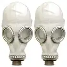 Oldshop Gas Mask GP5 (2 Pack) - Soviet Russian Military Gasmask REPLICA Collectable Item - Authentic Look (M, Grey)