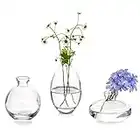 Set Vasi Fiori Vetro Piccoli Decorativi: Glsseam 3Pezzi/Set Trasparente Mini Vaso Interno Tavolo Eleganti Design Moderno Basic Art Centrotavola Vintage Per Soggiorno Casa Bomboniere Tulipani Rose