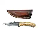 Titan International Knives Carbon Steel Fixed Blade Hunting and Skinning Knife with Burnt Bone Handle Perfect for Hunting and Outdoor Camping with Leather Sheath