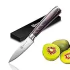 PAUDIN Paring Knife, Sharp Fruit Knife 3.5 Inch, High Carbon Stainless Steel Forged Blade Small Kitchen Knife for Vegetable with Wooden Handle, Peeling Knife for Home and Restaurant Use, with Gift Box