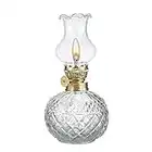 DNRVK Spherical Classic Oil Lamp with Clear Glass Lampshade Adjustable Switch Kerosene Lamp Oil Lantern 7.08in Height