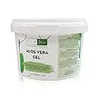 500g Aloe Vera Gel - 99% Naturally Bio-Active Aloe Vera - Cruelty-Free and Vegan - Cooling, Soothing and Moisturising for All Skin Types