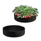 LITLANDSTAR - Juego de 2 macetas para cultivo de vegetales, 15 galones, bolsa de cama elevada para jardines, bolsas de cultivo redondas, de tela de fieltro transpirable para plantas, flores, verduras