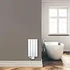 Design Paneelheizkörper Heizkörper Badheizkörper 60 x 30 mit Mittelanschluss (196 Watt nach EN442)