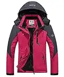 donhobo Womens Waterproof Jacket Winter Warm Fleece With Hood Windproof Camping Hiking Coat(Rosy,M)