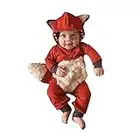 Newborn Baby Girl Boy Halloween Cosplay Cartoon Clothes Fox Coat Fur Bodysuit Jumpsuit Hooded Playsuit Romper Overall Outfit (Orange, 0-3 Months)