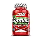 AMIX - Suplemento Deportivo Gamma Oryzanol en 120 Cápsulas - Ayuda al Incremento de la Testosterona - Contribuye a Aumentar la Fuerza y Masa Muscular - Suplemento Alimenticio