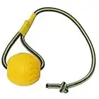 Ball with Rope Dog Toy,Fling Dura Foam Ball Dog Toy,Dog Water Float Toy Ball，Small Medium Large Dog Tug Toy (2.75inch(Small &Medium Dog))