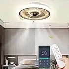 XESEGEIP Ventilateurs de plafond avec lampe intégrée, LED Fan Plafonnier Moderne Dimmable Réversible 6 vitesses Calme Ventilateur Au Plafond avec Télécommande pour Salon Chambre D'enfant(Ø48CM)