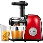 Slow Juicer Entsafter, HOUSNAT Entsafter Gemüse und Obst, Profi Entsafter mit Ruhigem Motor │Umkehrfunktion │2 Filterelemente│ Saftkanne │ Leicht Zu Reinigen │Reinigungsbürste, Rezept