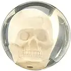 Bowlerstore Clear Skull Bowling Ball, Clear, 14