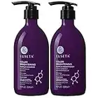 Luseta Purple Shampoo and Conditioner Set for Blonde, Gray - Color Treated Hair - Sulfate Free Paraben Free - Infused with Cocos Nucifera Oil for Curly and Damaged Hair - 2x16.9oz