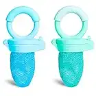 Munchkin Fresh Food Feeder, 2 Count (Pack of 1), Blue/Mint