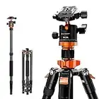 K&F Concept K255A4(TM2515M1) Kompaktes Kamera Stativ für DSLR Kamera, Alu Camera Tripod, Tragbares Stativ Kamera Fotostativ mit Einbeinstativ 360°Kugelkopf Tragtasche für Outdoor und Studio