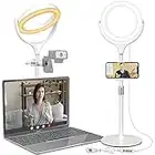 Ring Light with Stand, Desktop Ring Light with Phone Holder for Laptop/Video Conferencing/webcam Lighting/Zoom Meetings, 8" Selfie Ring Light for Makeup/Live Streaming/YouTube/Tiktok (White)