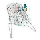 ​Fisher-Price Baby's Bouncer Pacific Pebble, Portable Bouncing Chair for Soothing and Play for Newborns and Infants, HHG31