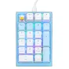 EPOMAKER K1 21 Keys Wired Numeric Keypad Number Pad with RGB Backlight, Translucent Doubleshot Pudding Keycaps, Shine Through Case for Win/Mac/Gamers