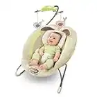 Fisher-Price My Little Snugabunny Deluxe Bouncer