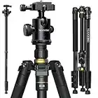 77” DSLR Camera Tripod for Travel - NIANYISO Compact Tripod for Camera, Professional Tripod with 36mm 360 Degree Ball Head, Lightweight Aluminum Camera Tripods & Monopods Load up to 33 lbs