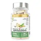 Ashwagandha biologique 600 mg | KSM66® | Association de sols certifiée | Cinq pour cent de withanolides (30 mg) | Vegan, Sans Gluten, Halal, Casher