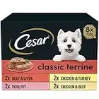 Cesar Classic Terrine in Jelly 24 Trays, Adult Premium Wet Dog Food, Mixed Selection, Pack of 3 (8 x 150 g)