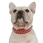 Hifrenchies - Collares para Mascotas de Cuero de Microfibra Ajustables con Remaches con púas y Hongos para Frenchie/Bulldog/Pugs