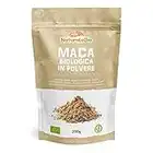 Maca Peruviana Biologica in Polvere 200g. Naturale e Pura, Prodotto in Perù dalla Radice di Maca Bio - Gelatinizzata - NaturaleBio