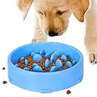 Gamelle d'alimentation Lente pour Chiens, Slow Feeding Conception Anti-dérapante Fun Interactive Nourrir Les Chats et Les Chiens pour Bol, Favorise Une Alimentation Saine et Une Digestion Lente(Bleu)