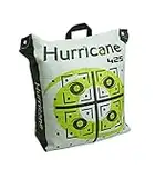 Field Logic Hurricane Bag Archery Target 20", Neon Green