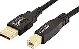 Amazon Basics USB 2.0 A-Male to B-Male cable with Gold-plated connectors (3 m/10 Feet), Black